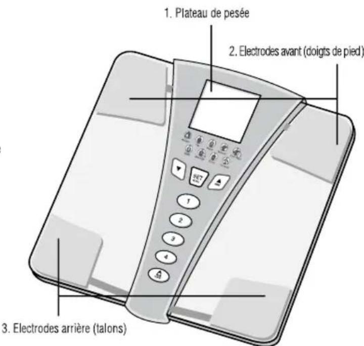 TANITA Ironman InnerScan BC549 Plus - FEATURES AND FUNCTIONS - 2