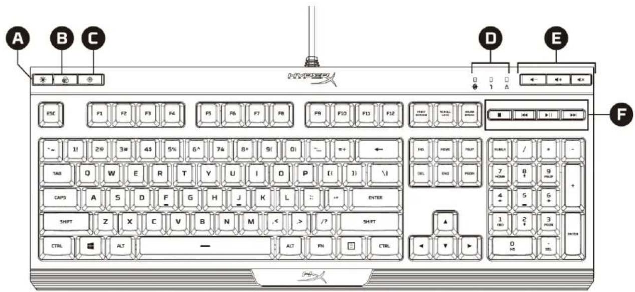 HYPERX Alloy Core RGB - Pa3Mepbl - 2