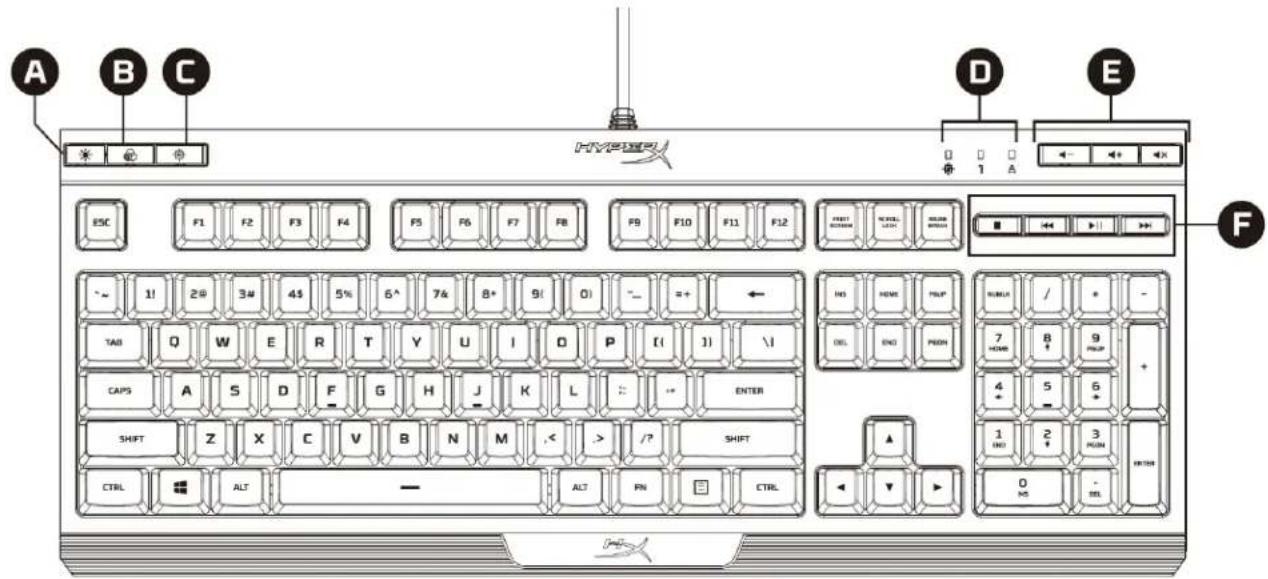 HYPERX Alloy Core RGB - Prezentacja klawiatury: - 1