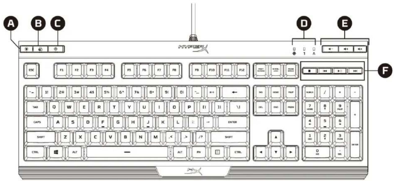 HYPERX Alloy Core RGB - HyperX Alloy Core RGB™ - 2