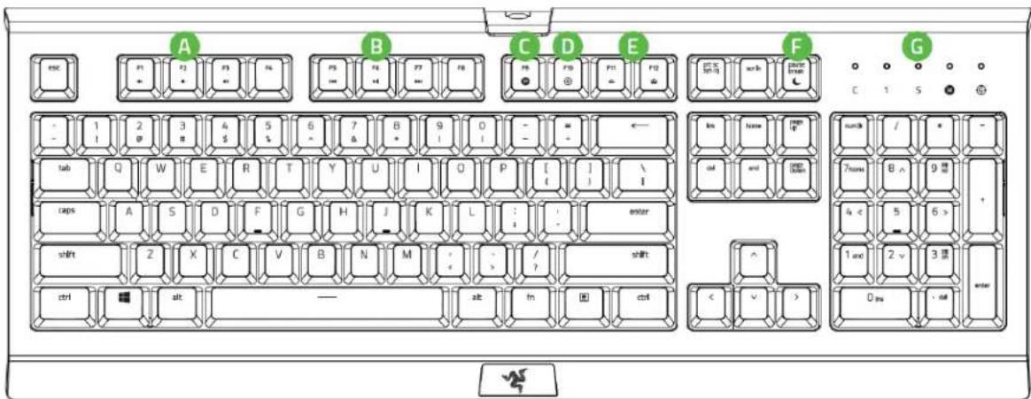RAZER Cynosa Chroma - 子 - 1