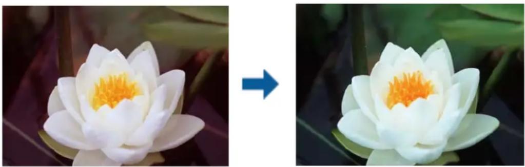 EPSON EP50V - 色補正をして印刷する - 1