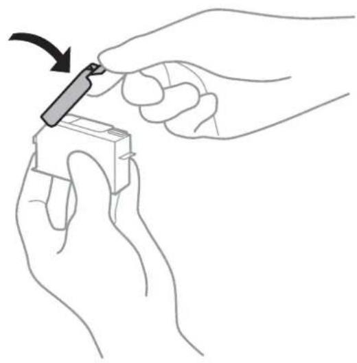 EPSON EP50V - !重要 - 1