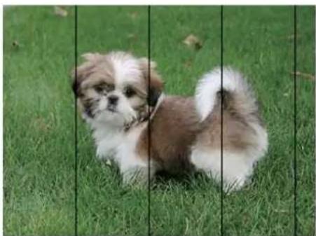 EPSON EP50V - 約2.5cm間隔で色の付いたスジが入る - 1