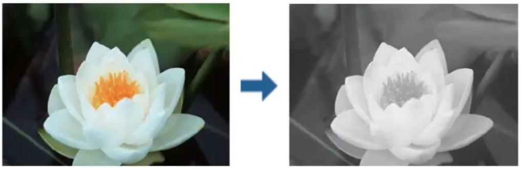 EPSON EP50V - モノクロ写真を印刷する - 1