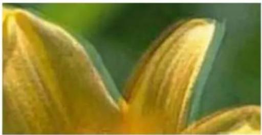 EPSON EP50V - 印刷結果がぼやける、文字や野線がガタガタになる - 1