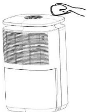 ARGO Lilium 13 - Attention - 1