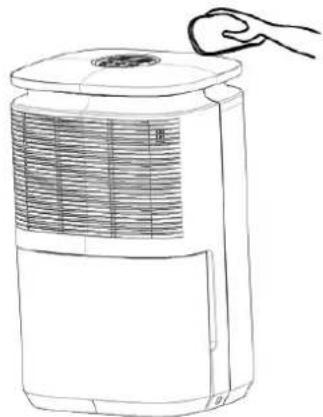 ARGO Lilium 13 - Atencion - 1