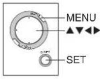 PANASONIC SVPT1PP - TV Mode (Editing) - 2