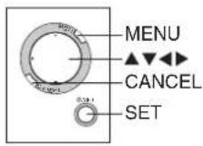PANASONIC SVPT1PP - TV Mode (Slide Show) - 2