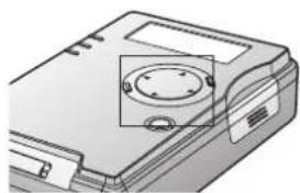PANASONIC SVPT1PP - TV Mode (Full Screen Playback) - 1