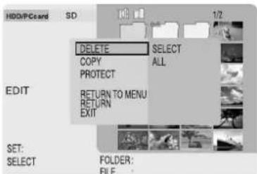 PANASONIC SVPT1PP - Deleting Images (DELETE) - 2