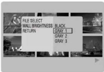 PANASONIC SVPT1PP - Selecting the Background Brightness - 1