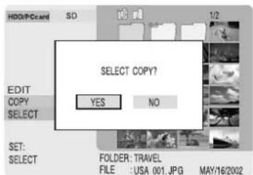 PANASONIC SVPT1PP - Copied images (COPY) - 3