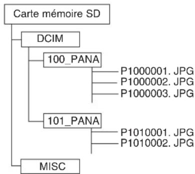 PANASONIC SVPT1PP - Structure des dossiers - 1