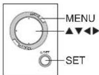 PANASONIC SVPT1PP - TV Mode (Full Screen Playback) - 2