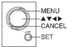 PANASONIC SVPT1PP - TV Mode (Presentation) - 2