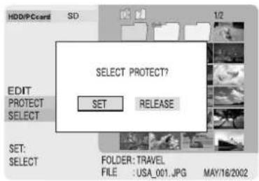 PANASONIC SVPT1PP - Protecting Images (PROTECT) - 2