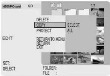 PANASONIC SVPT1PP - Copied images (COPY) - 2