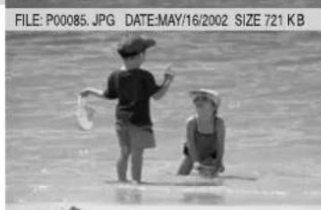 PANASONIC SVPT1PP - Displaying Image Information (PROPERTIES) - 2