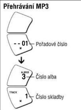 PANASONIC SLSX429C - Přehrávani podle programu - 2