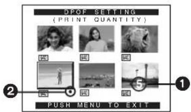 PANASONIC PVDV852 - DPOF Setting - 4