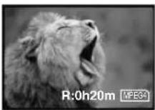 PANASONIC PVDV852 - Pour arrêter le transfert d'images - 3
