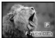 PANASONIC PVDV852 - Recording from the Palmcorder Lens (Camera Mode) - 4