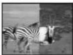 PANASONIC PVDV852 - To reduce the "Red Eye" phenomenon - 3