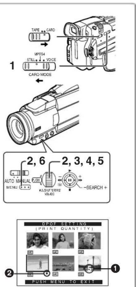 PANASONIC PVDV852 - Vérification du réglage DPOF - 1