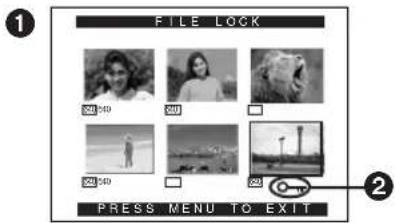 PANASONIC PVDV852 - Clearing a Title Display - 2