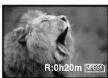 PANASONIC PVDV852 - To Stop the Transfer of Images - 3