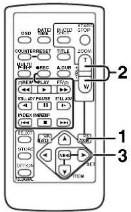 PANASONIC PVDV852 - Balayage de débuts - 1