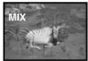 PANASONIC PVDV953 - ■ Lecture en mode volet et mode mixage - 2