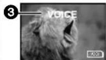 PANASONIC PVDV953 - Playing Back the Sound Recorded with Audio Dubbing (For 12 bit Audio Recording) - 6