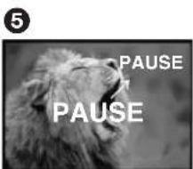 5 PAUSE PAUSE