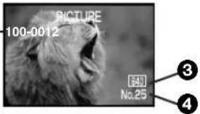 PICTURE 100-0012 No.25 3 4