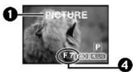 PANASONIC PVDV953 - Playing Back the Sound Recorded with Audio Dubbing (For 12 bit Audio Recording) - 4