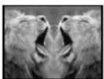 PANASONIC PVDV953 - Fonction anti-yeux rouges - 9
