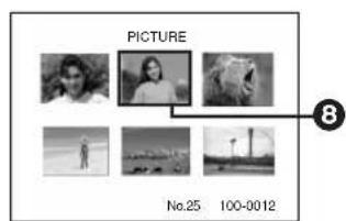 PICTURE No.25 100-0012