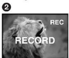 2 REC RECORD