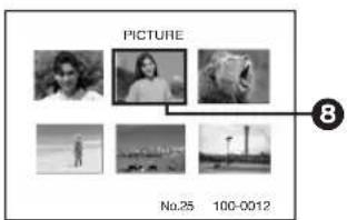 PICTURE 8 No.25 100-0012