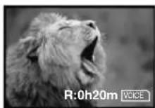 PANASONIC PVDV953 - To Stop the Transfer of Images - 4