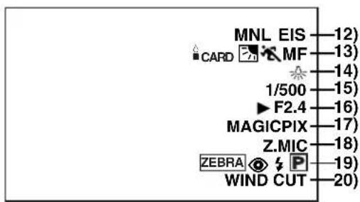 MNL EIS CARD MF 1/500 F2.4 MAGICPIX Z.MIC ZEBRA P WIND CUT