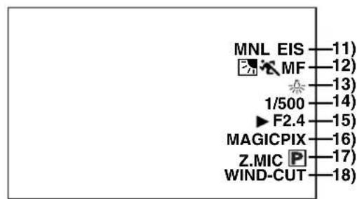 PANASONIC PVDC252 - 10) Date/Time Indication ( 19,55) - 1
