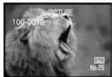PANASONIC PVDC252 - To Stop the Transfer of Images - 3