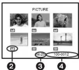 PANASONIC PVDC252 - StartPlayback. - 2