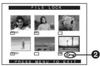 PANASONIC PVDC252 - Clearing a Title Display - 2