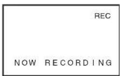 PANASONIC PVDC252 - Rotate the [PUSH] Dial to select the desired number of the file and then press it. - 3