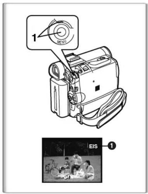 PANASONIC PVDC252 - To Use the Zoom Microphone Function - 2